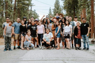 group of people taking photo near brown wooden tree